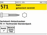 25 x DIN 571 Stahl 12 x 160 galv. verzinkt