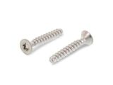 500 x Senkkopfschrauben für Thermoplaste Edelstahl...