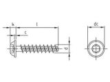 500 x Rundkopfschrauben mit Flansch für Thermoplaste Edelstahl A2 3,0x12 TX10