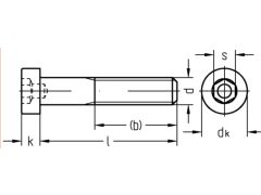 500 x DIN 6912 Innensechskant mit niedrigen Kopf A2 - M5 x 12mm