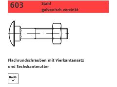 25 x DIN 603 Mu Stahl galvanisch verzinkt Flachrundschrauben mit Vierkantansatz Mu = mit Sechskantmutter, - M10 x 110