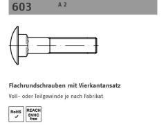 50 x DIN 603 A 2 Flachrundschrauben mit Vierkantansatz Fachhandel - Abmessung: M 6 x 35 VE=FS (50 Stück)