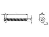 1000 x Flachkopf-Blechschrauben mit Innensechsrund ISO 14585 A2 C 2,9X38 TX10