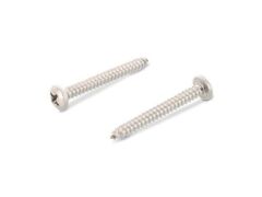 200 x Linsenkopf-Blechschrauben mit Kreuzschlitz DIN 7981 A2 C 4,2X55 H