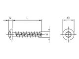 500 x Rundkopfschrauben für Thermoplaste Edelstahl A2 4,5x12 TX20