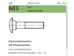 50 x DIN 603 8.8 feuerverzinkt Flachrundschrauben mit Vierkantansatz - M 16 x 40
