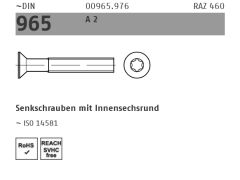 100 x DIN 965 Edelstahl A2 Senkschrauben mit Innensechsrund (TX) M6 x 20 - T30