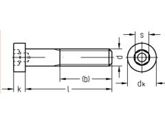 Schnäppchenartikel - 500 x Zylinderschrauben mit ISK und Schlüsselführung niedriger Kopf 8.8  verzinkt - 5 x 16 (DIN6912)