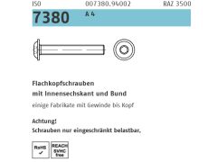 100 x ISO 7380-2 Flachkopfschrauben mit Innensechskant und Bund M10 x 20 Edelstahl A4