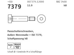 50 x ISO 7379 12.9 Pass-Schulterschrauben, Schaftpassung h8 6 - M 5 x 50 (blank/schwarz)