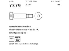 25 x ISO 7379 12.9 h8 Pass-Schulterschrauben, Schaftpassung h8 10 - M 8 x100 (blank/schwarz)