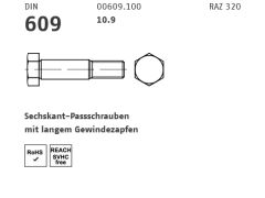 10 x DIN 609 10.9 Sechskant-Passschrauben mit langem Gewindezapfen M16 x 120 (blank/schwarz)