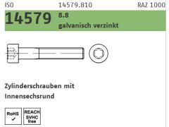 500 x ISO 14579 8.8 Zylinderschrauben mit Innensechsrund M5 x 25 verzinkt
