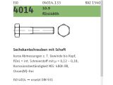 25 x ISO 4014 10.9 / 480h Sechskantschrauben mit Schaft...