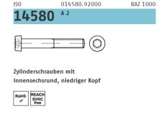 500 x Zylinderschraube niedrig ISO 14580 M5 x 10 -T25 Edelstahl A2
