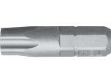 1/4&quot; Bit L25 mm 5-Stern TS10 mit Bohrung