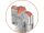 Hammerbohrer Rocket 3 SDS-plus Magazin 50-tlg.