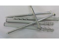 20 x Rahmendübel 10x160 mit TX-Senkschraube