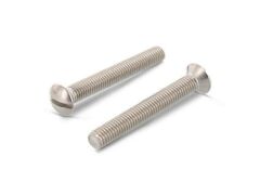 100 Stück Linsensenkschrauben mit Schlitz DIN 964 A4 M 10X40