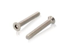 200 Stück Senkschrauben mit Innensechsrund ISO 14581 A4 M 6X110/110 TX30