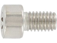 100 Stück Zylinderschrauben mit Innensechsrund ISO14579 A2 M4X60 TX20