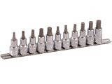1/2" Bit Stecknuss Satz auf Schiene 11tlg 6kant+VZ