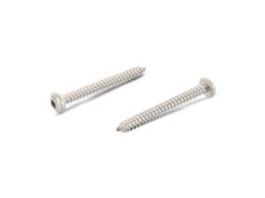 200 Stück Linsenkopf-Blechschrauben mit Innenvierkant DIN 7981 A2 C 6,3X16 V3