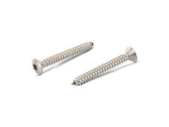 500 Stück Linsensenk-Blechschrauben mit Innensechsrund ISO 14587 A4 C 4,8X35 TX25