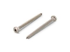 200 x Rundkopf - Universalschrauben, Edelstahl A2 - 5,0X45 / TX25