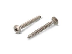 200 Stück Rundkopf-Türbandschrauben mit Innensechsrund Art. 9083 A2 6X20 TX30