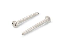 100 Stück Zylinderkopf-Sicherheitsschrauben, Zweilochantrieb Art. 9100 A2 C 2,9X25 SP4