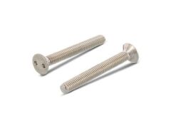 100 Stück Senkkopf-Sicherheitsschrauben mit Zweilochantrieb Art. 9103 A2 M 6X20 SP1/4