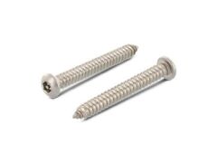 100 Stück Flachrundkopf-Sicherheitsschrauben mit ISK + Pin Art. 9110 A2 C 4,8X13 ISK-PIN 3