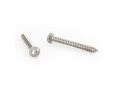 100 Stück Halbrundkopf-Sicherheitsschrauben, Einweg-Antrieb Art. 9130 A2 C 6,3X38