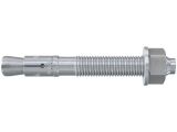 50 x fischer Bolzenanker FBN II 8/50