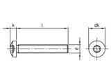 200 Stück Linsenschrauben mit Innensechsrund DIN 7985 A4 M 5X45 TX25