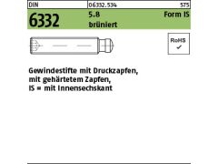 10 x Gewindestifte DIN 6332 m. Druckzapfen M20 x 80 brüniert