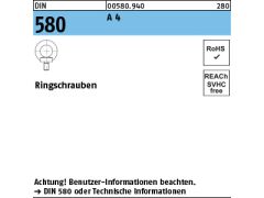 1 x Ringschrauben DIN 580 M24 Edelstahl A4