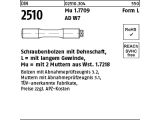 1 x Schraubenbolzen DIN 2510 Form L - M27 x 190 + 2 Mu NF